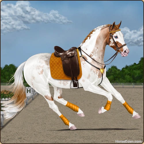 genpic.php?id=40906600&bg=1001&decor=Y&v=62