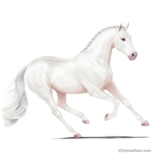 genpic.php?id=43294405&bg=1001&decor=Y&v=1