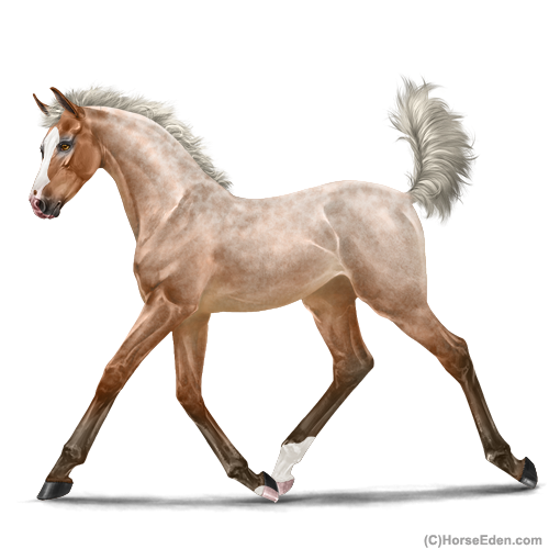 genpic.php?id=44710846&bg=1001&decor=Y&v=16