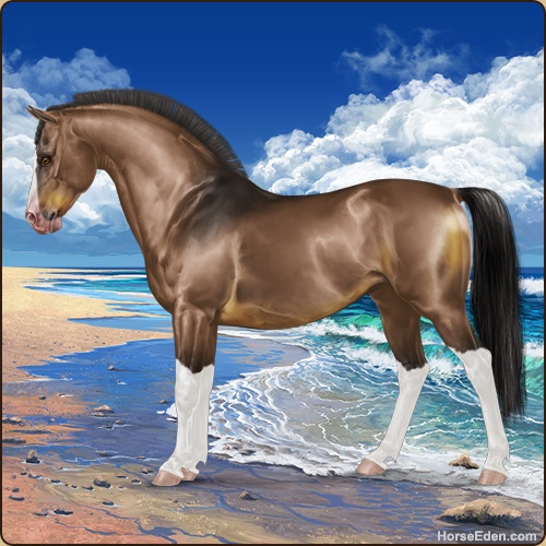 genpic.php?id=39651411&bg=128&decor=Y&v=3