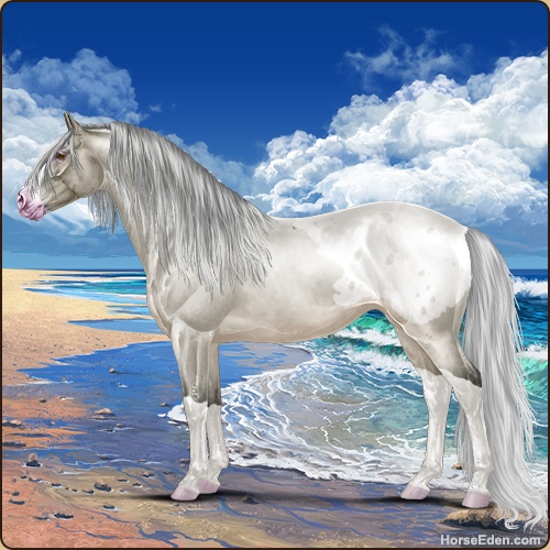 genpic.php?id=42187212&bg=128&decor=Y&v=82