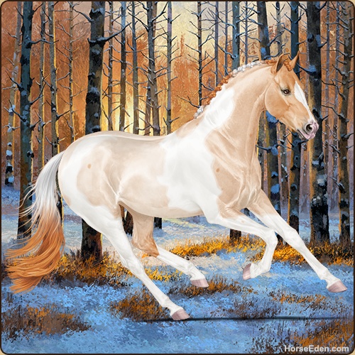 genpic.php?id=43067410&bg=132&decor=Y&v=9
