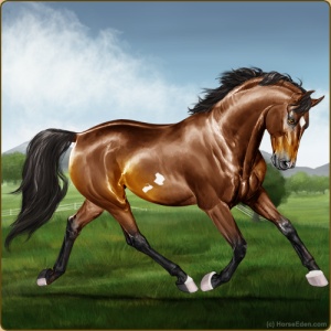 Horse Eden - Online Horse Game