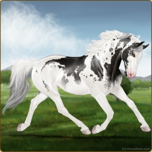 Horse Eden - Online Horse Game