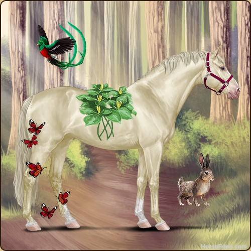 genpic.php?id=37384407&bg=56&decor=Y&v=1