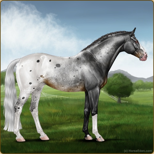 genpic.php?id=40391894&bg=56&decor=Y&v=6