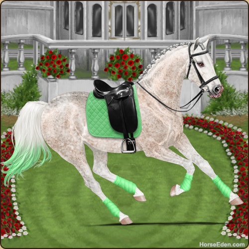 genpic.php?id=40926341&bg=56&decor=Y&v=23