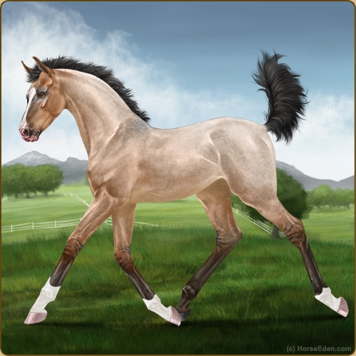 genpic.php?id=41388293&bg=56&decor=Y&v=53
