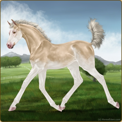 genpic.php?id=41440770&bg=56&decor=Y&v=1