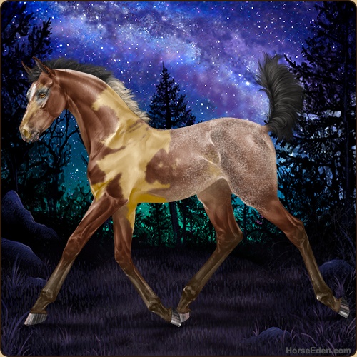 genpic.php?id=41502858&bg=56&decor=Y&v=8
