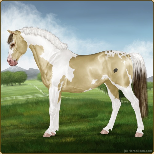 genpic.php?id=41717415&bg=56&decor=Y&v=7