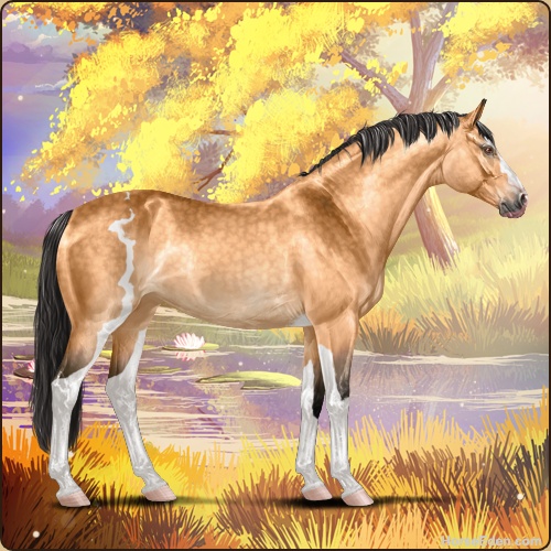 genpic.php?id=41910920&bg=56&decor=Y&v=6