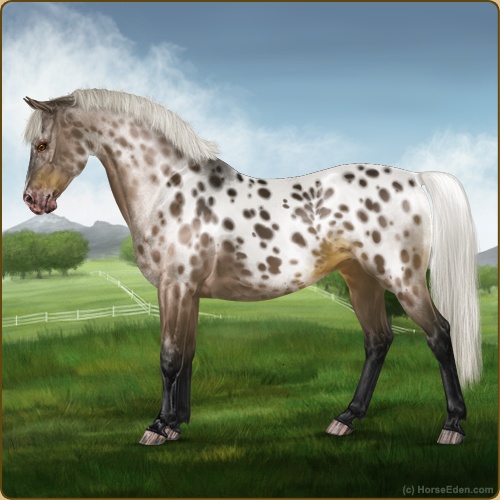 genpic.php?id=41936718&bg=56&decor=Y&v=8