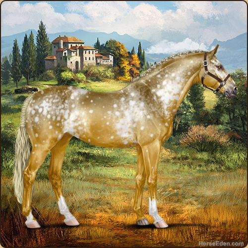 genpic.php?id=42193707&bg=56&decor=Y&v=37