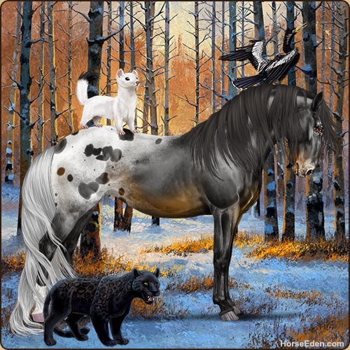 genpic.php?id=42453086&bg=56&decor=Y&v=14