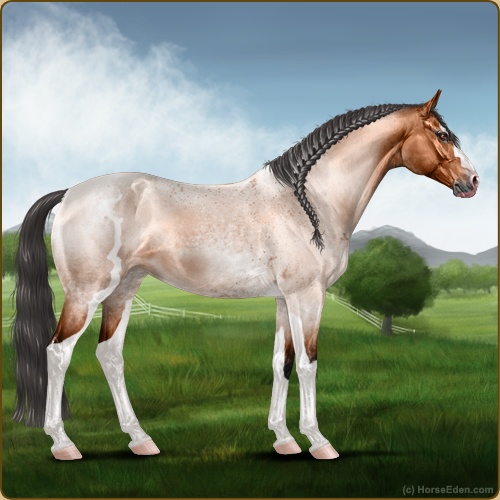 genpic.php?id=42536710&bg=56&decor=Y&v=8