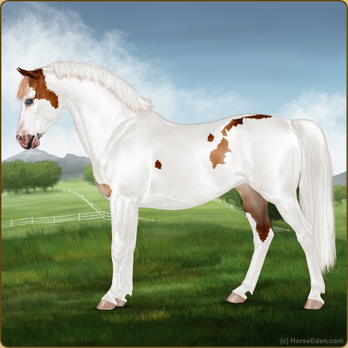 genpic.php?id=42762234&bg=56&decor=Y&v=5