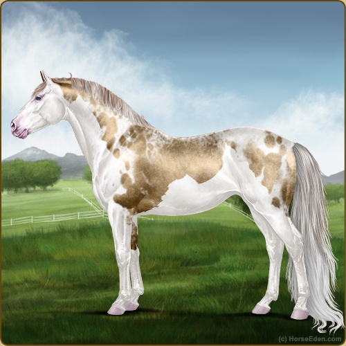 genpic.php?id=42891440&bg=56&decor=Y&v=2