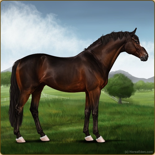 genpic.php?id=43081084&bg=56&decor=Y&v=3