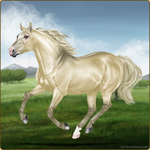 genpic.php?id=43986857&bg=56&decor=Y&v=9