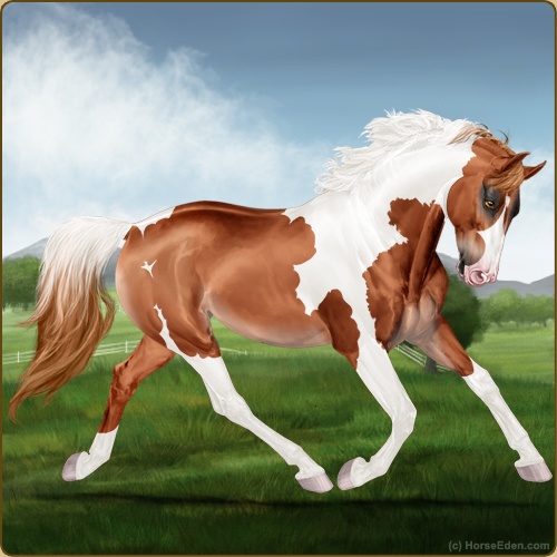 genpic.php?id=44034500&bg=56&decor=Y&v=1