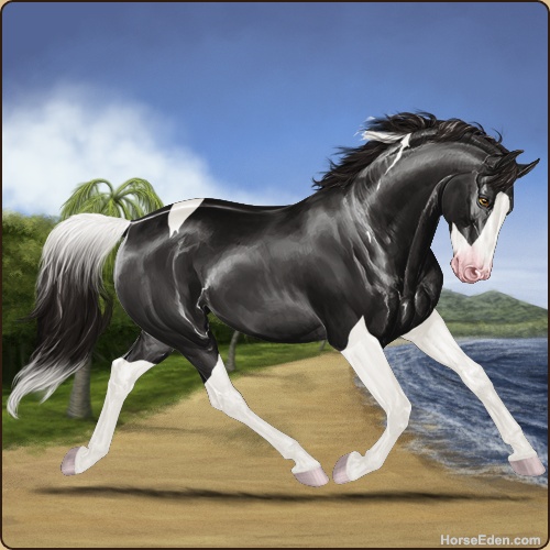 Horse Eden Forums • View topic - A Place In The Sun's Pixel Ponies