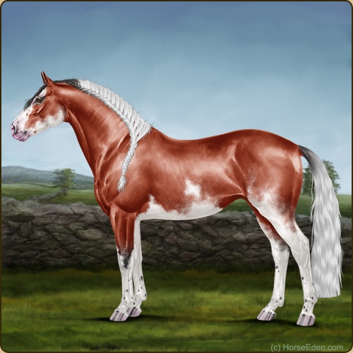 genpic.php?id=40364288&bg=60&decor=Y&v=19