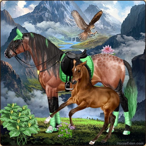 genpic.php?id=37699161&bg=61&decor=Y&v=1