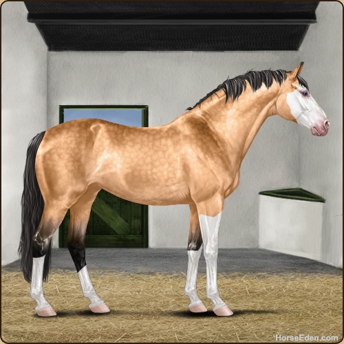 genpic.php?id=43440166&bg=61&decor=Y&v=13