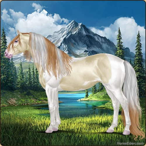 genpic.php?id=42799903&bg=78&decor=Y&v=5