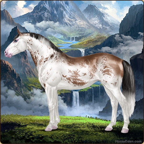 genpic.php?id=43066669&bg=78&decor=Y&v=27