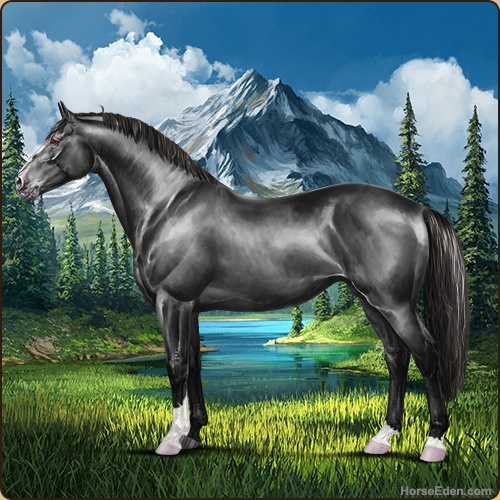genpic.php?id=43066800&bg=78&decor=Y&v=3