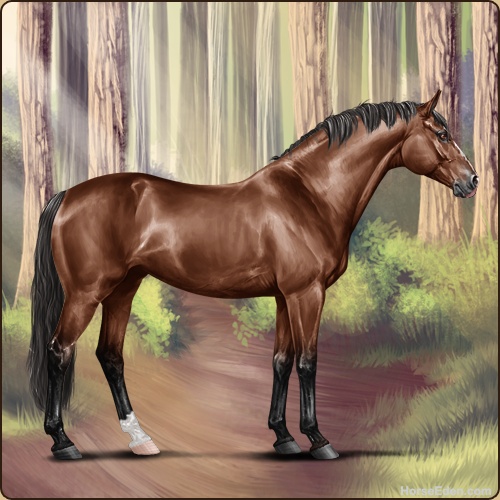 genpic.php?id=40307944&bg=79&decor=Y&v=36