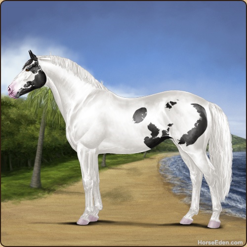 genpic.php?id=40560948&bg=79&decor=Y&v=9