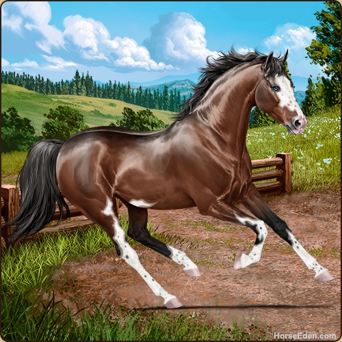 genpic.php?id=40578100&bg=79&decor=Y&v=16