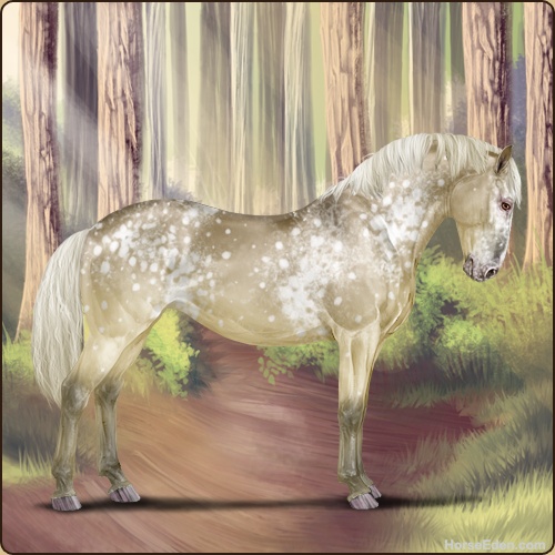 genpic.php?id=40799696&bg=79&decor=Y&v=41