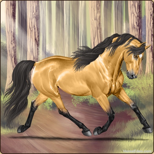 genpic.php?id=41145991&bg=79&decor=Y&v=175