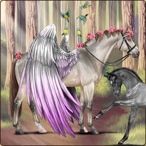 genpic.php?id=41283988&bg=79&decor=Y&v=24