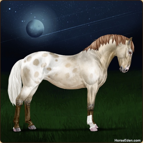 genpic.php?id=41440736&bg=79&decor=Y&v=1