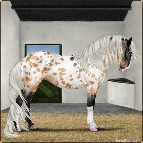 genpic.php?id=41548153&bg=79&decor=Y&v=4