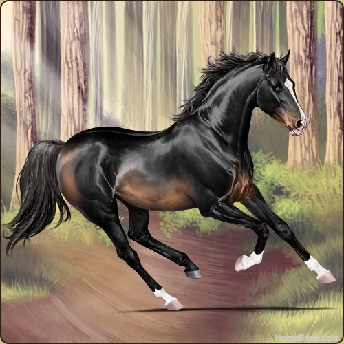 genpic.php?id=42364462&bg=79&decor=Y&v=47