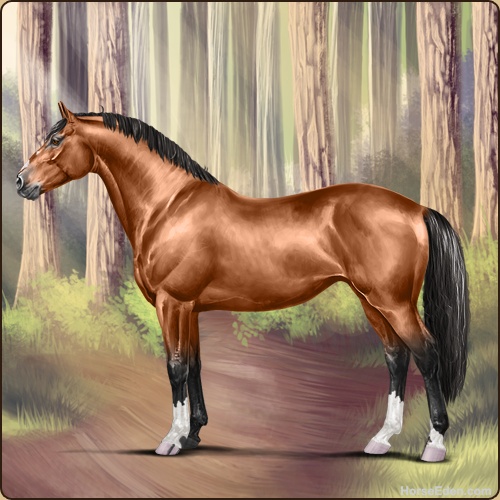 genpic.php?id=42771433&bg=79&decor=Y&v=21