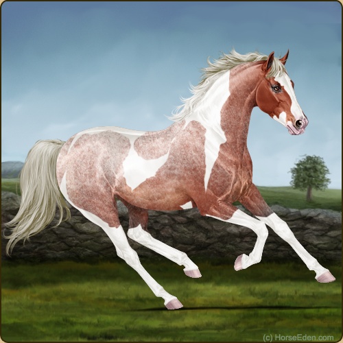 genpic.php?id=42802556&bg=79&decor=Y&v=1