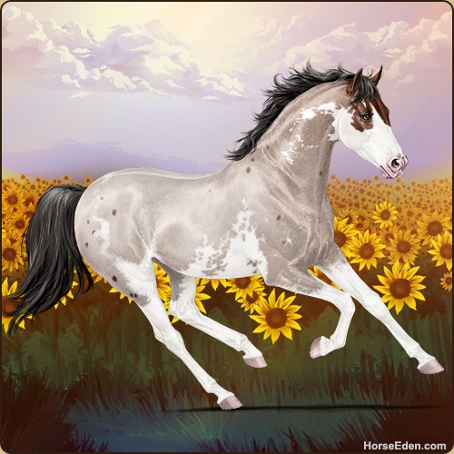 genpic.php?id=42802568&bg=79&decor=Y&v=1