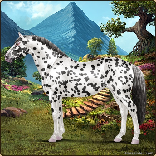 genpic.php?id=42896838&bg=79&decor=Y&v=11