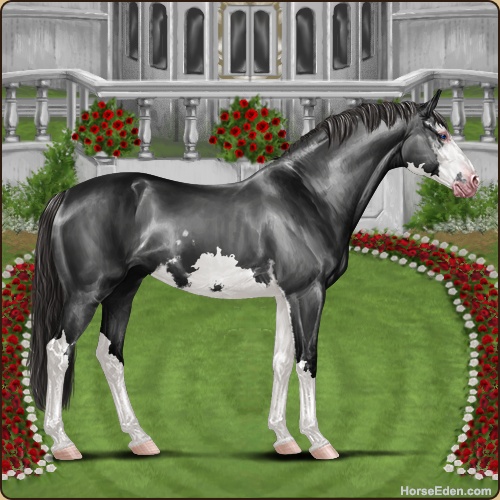 genpic.php?id=42934111&bg=79&decor=Y&v=43