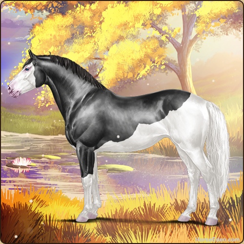 genpic.php?id=42934134&bg=79&decor=Y&v=6