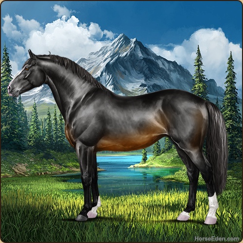genpic.php?id=42934325&bg=79&decor=Y&v=5