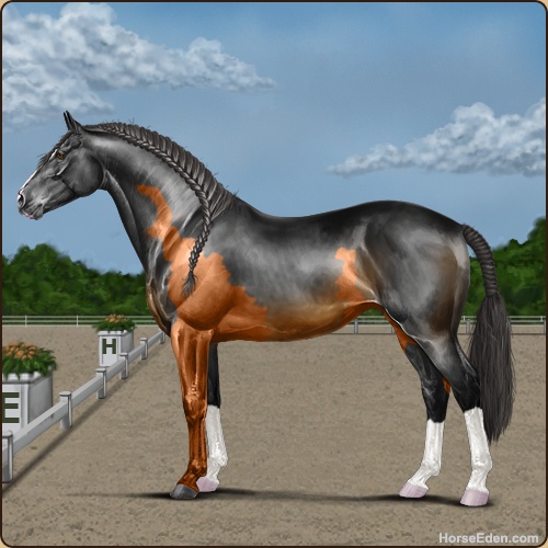 genpic.php?id=42994159&bg=79&decor=Y&v=2