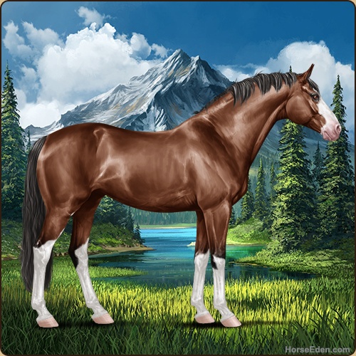 genpic.php?id=42994195&bg=79&decor=Y&v=4